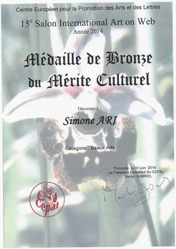 Simone Ari nominiert für den Palm Art Award 2011